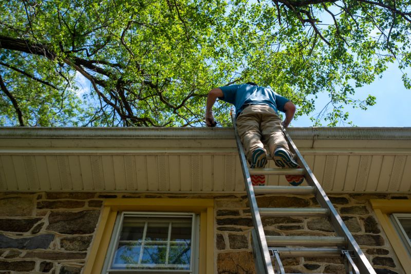 Ladder Safety for Gutter Work